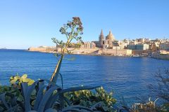 IMG_20220217_154726