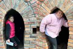 57c3fc56-731d-49e2-ba0e-0c6f9586c289