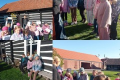 bc793d2f-1417-4a49-8b50-eadc11fc599d