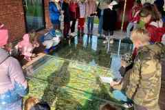 ca658fab-9f77-4749-944e-c0348dac359d