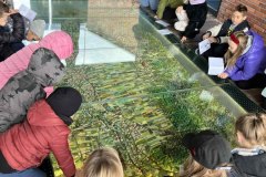 fee23934-c30a-474d-ba09-47ba077aa0be