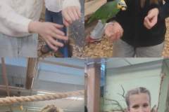 3d46306b-a39e-4af7-960b-58a4e3ef5ded