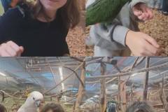 4b1f9c42-9bab-4583-87bb-24f984ab1b64