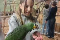 7089572e-9a2c-4803-8102-1a2aefbc5682