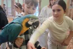 85c39d2b-f1c6-4f69-ac86-89d2a3251ca7