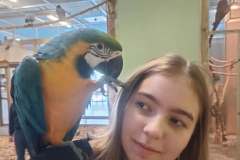 86daea88-1d55-4abb-a67c-6a19c3b7b215