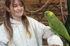 e2c3c87e-b5fc-414e-9217-66b6322f9c9c