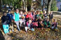 biblioteka17