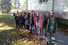 biblioteka19