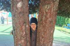 4c3708dd-fc60-442b-b8db-ebc60487e81b