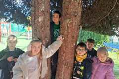 6eda5423-3ee6-4532-9374-b5fd537cf05f