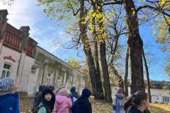 88e2734a-ade8-4ccc-8318-639f24dadc3e