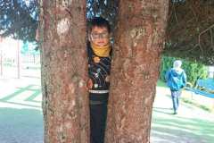 88ff1b41-0016-41bf-915c-6ab207cbf0a1