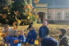 96cf20e1-096d-4ed3-ae85-7ec28b3c04ba