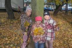 a4139ea0-d0b8-4896-a120-2188121c5f05