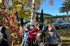 ac0d72d7-da44-4e01-8c3f-25083d97d16c