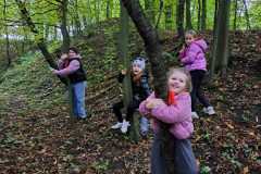 b52fb3c5-77fc-403c-bc94-b79cff947a2b