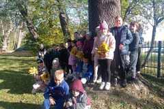 bd93635a-91f3-4e2c-8686-2bdc533e593a