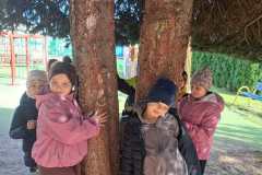 c2728422-31db-4a4c-adb2-408474e11f00