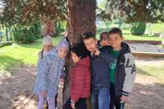 e6183a1d-e02e-4363-b8cb-bf3673dda76f