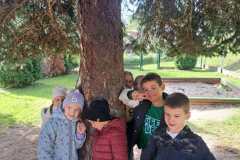 fde776ca-c1a7-40c5-a827-5c2ddd49bb65