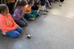 324483738_1280888542768115_7301256086424148755_n