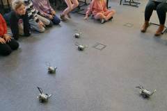 325297984_542580821232668_2781539729525255273_n