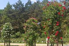 WhatsApp-Image-2023-06-05-at-21.13.11-2
