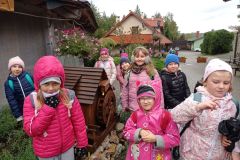 IMG_20221003_103244
