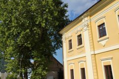 IMG_20210904_152516
