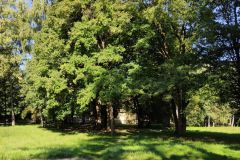 IMG_20210906_095431