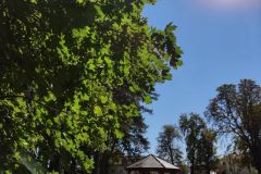 IMG_20210906_104254