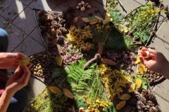 IMG_20210906_155452