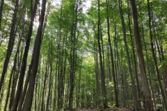 IMG_20210907_100043