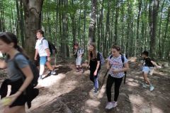 IMG_20210907_101341