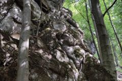 IMG_20210907_110148