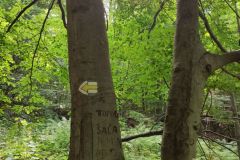IMG_20210907_110202