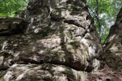 IMG_20210907_110242