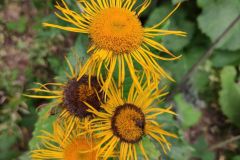 IMG_20210907_113707