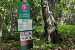 IMG_20210907_122839