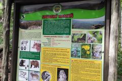 IMG_20210907_123130