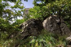 IMG_20210907_123555
