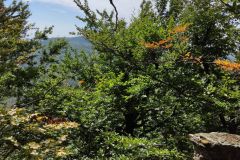 IMG_20210907_125155
