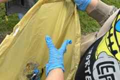 b4bfd6e0-e730-433a-9069-f2500f7e6ff0