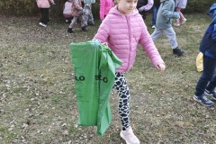 0426d58f-7e28-4b60-aa2a-57c519d9708a