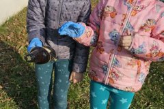 91389f26-cbee-4e98-9a88-f0eeba9d1314