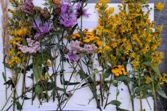 50ab6d61-0c39-41cf-869a-68405765c02f