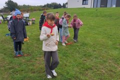 96b1f690-0872-4a99-9e3f-04422eba051a