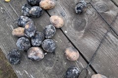 a674627e-f421-44a8-8946-3517743448ed