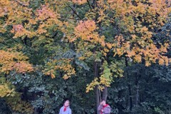 a91e0db7-4b06-4e2a-b23e-85da3b951b9c